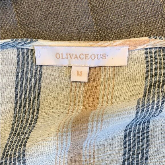 Olivaceous Striped Cropped Blouse - Picture 4 of 4